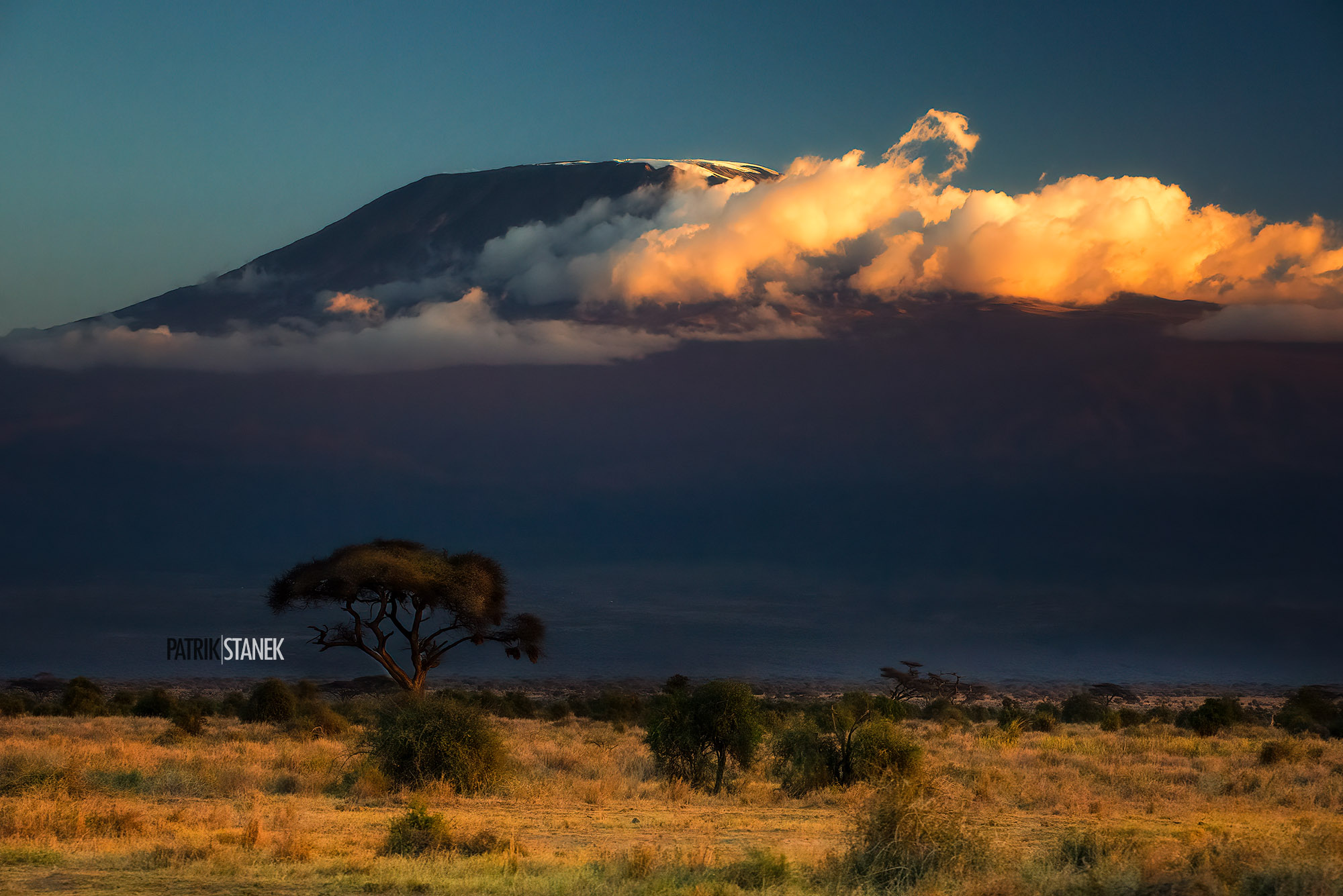 Kilimandzaro z parku Amboseli