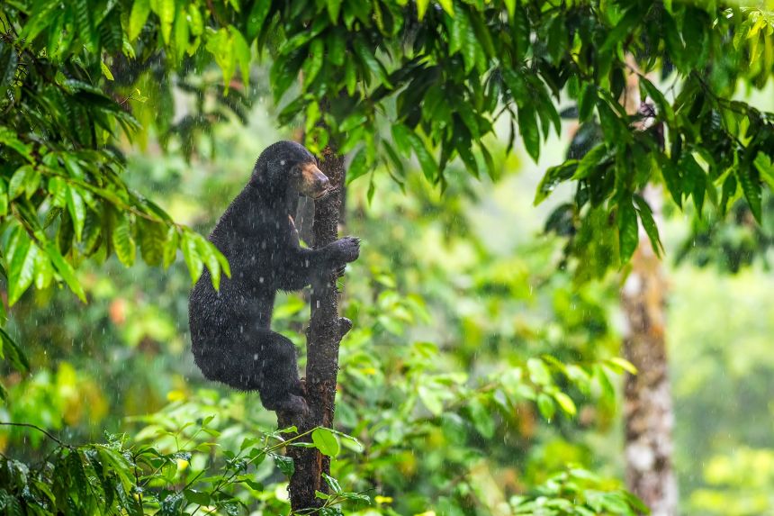 Borneo - ráj pro fotografa