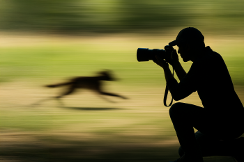 10 tipů, jak nastavit fotoaparát (Canon, Nikon, Sony) pro fotografování pohybujících se objektů