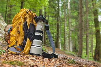 Sony 400–800mm f/6.3–8 G OSS – Nový král dosahu pro wildlife nadšence?