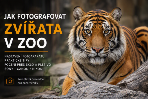 Jak fotografovat zvířata v zoo: kompletní průvodce pro začátečníky